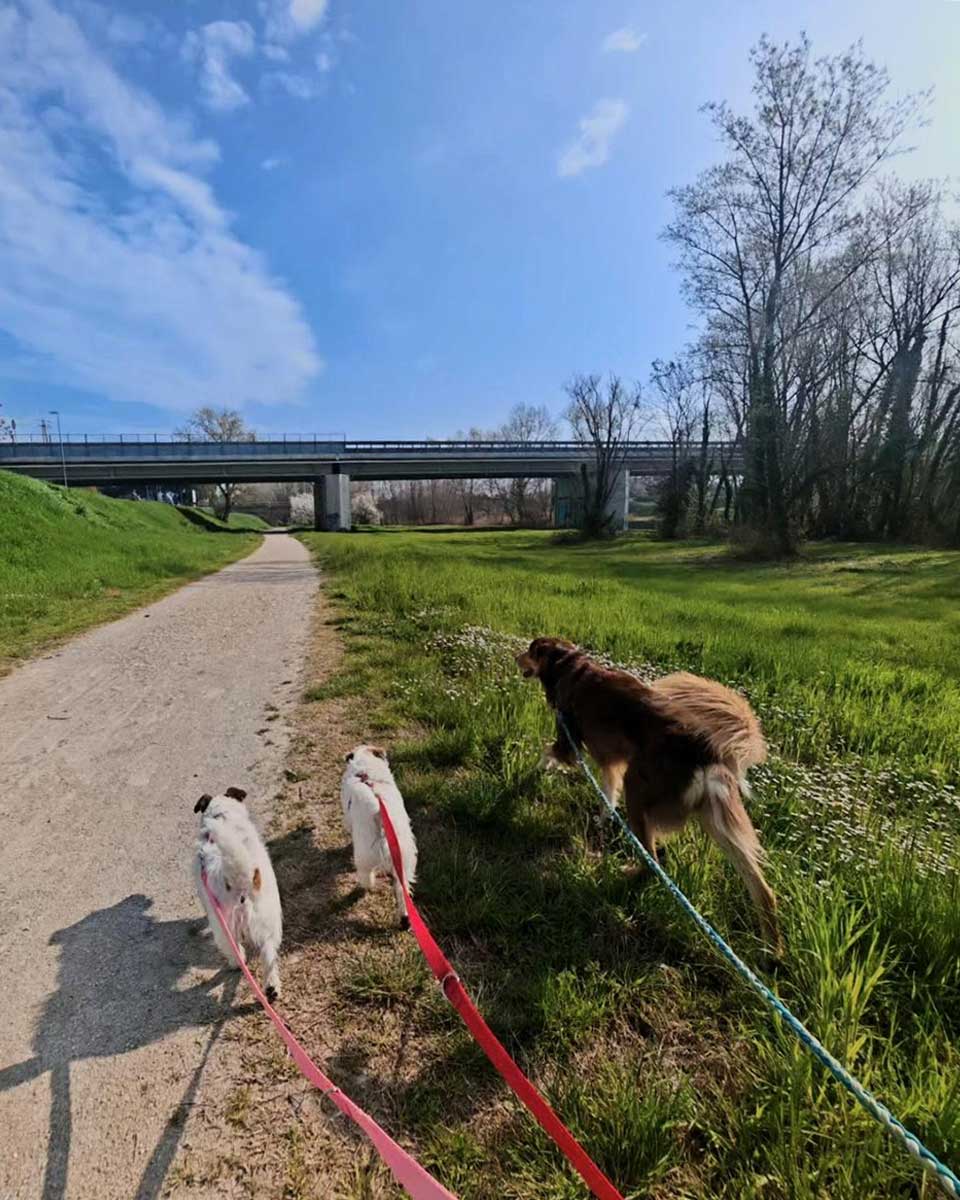 Misano Pet-Friendly Conca Promenade